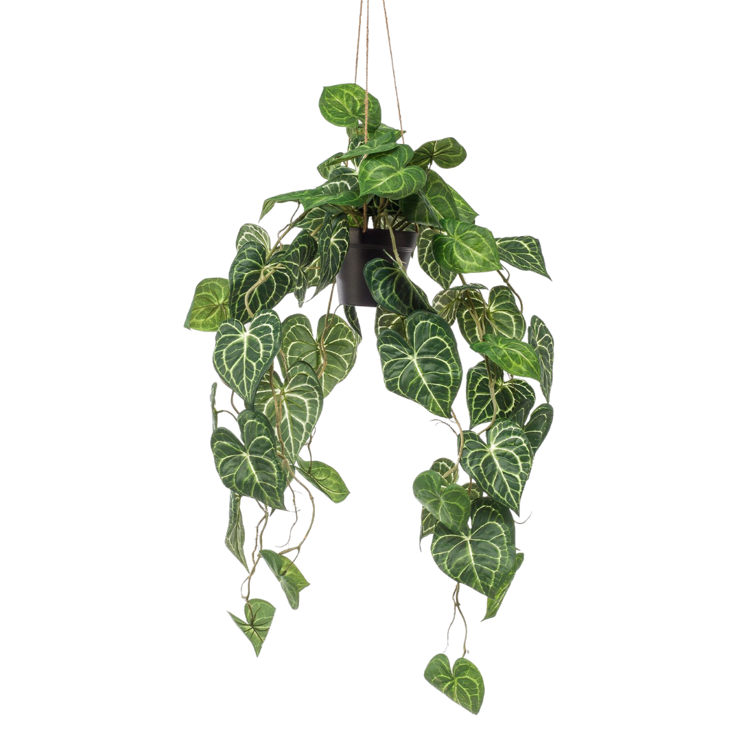 Kunstplant | Anthurium Clarinervium | ↑80 cm