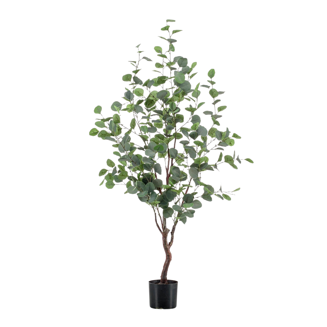 Kunstplant | Eucalyptus | ↑120 cm