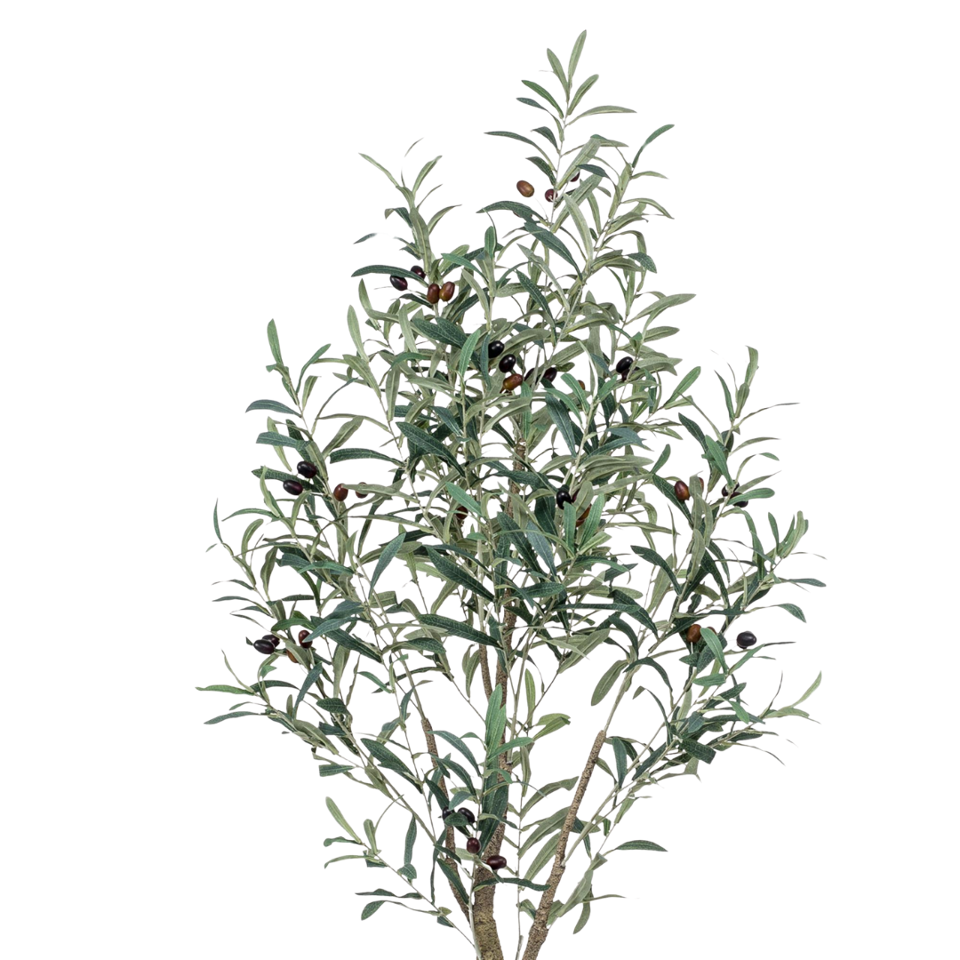 Kunstplant | Olea Europaea | ↑115 cm