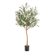 Kunstplant | Olea Europaea | ↑180 cm