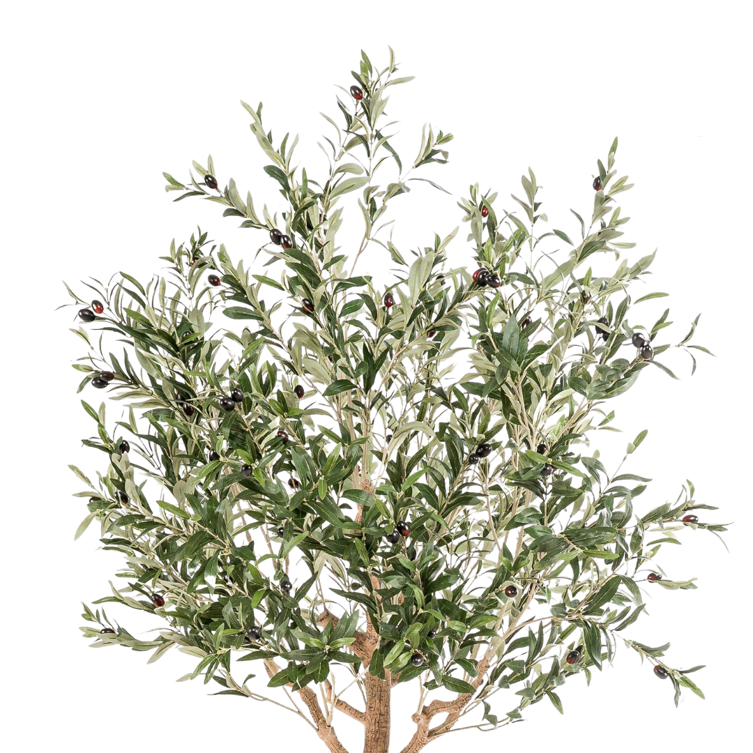 Kunstplant | Olea Europaea | ↑180 cm