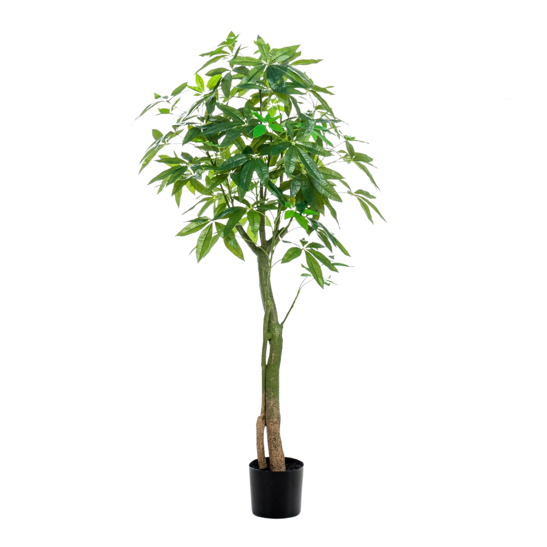 Kunstplant | Pachira Aquatica | ↑150 cm