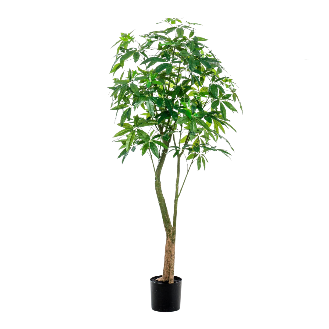Kunstplant | Pachira Aquatica | ↑180 cm