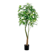 Kunstplant | Pachira Aquatica | ↑180 cm