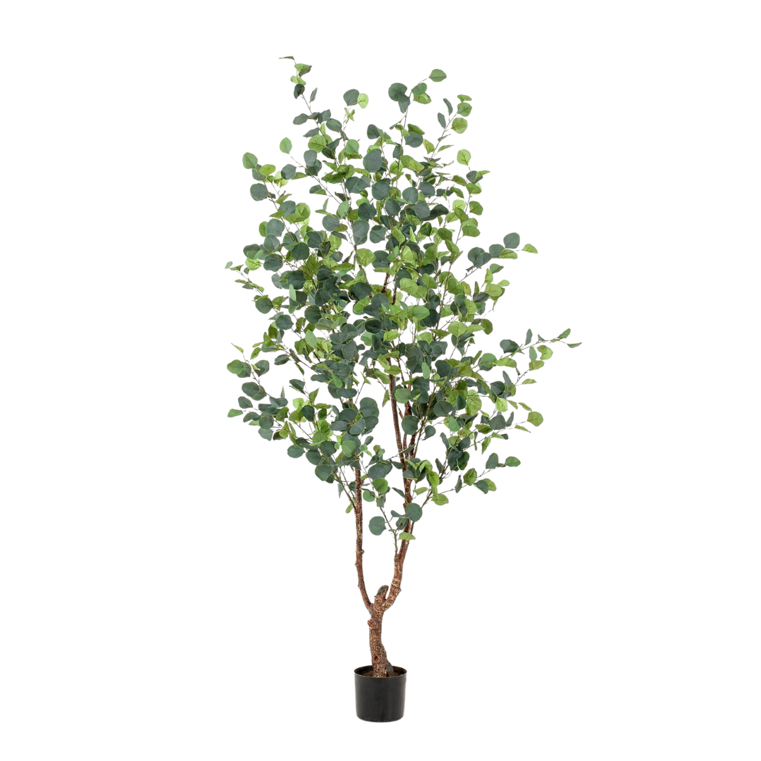 Kunstplant | Eucalyptus | ↑180 cm