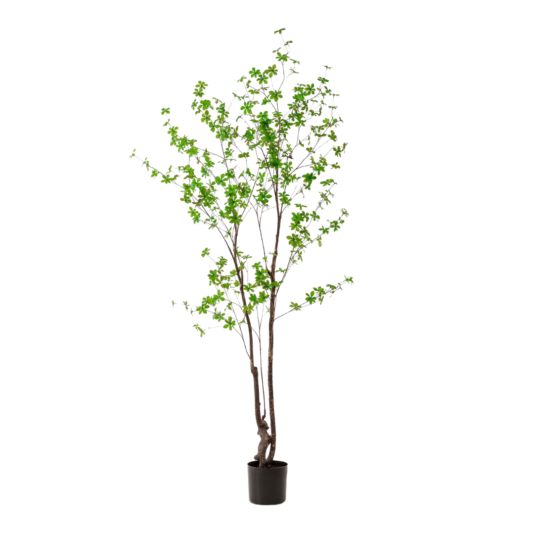 Kunstplant | Tropaeolum Speciosum | ↑210 cm