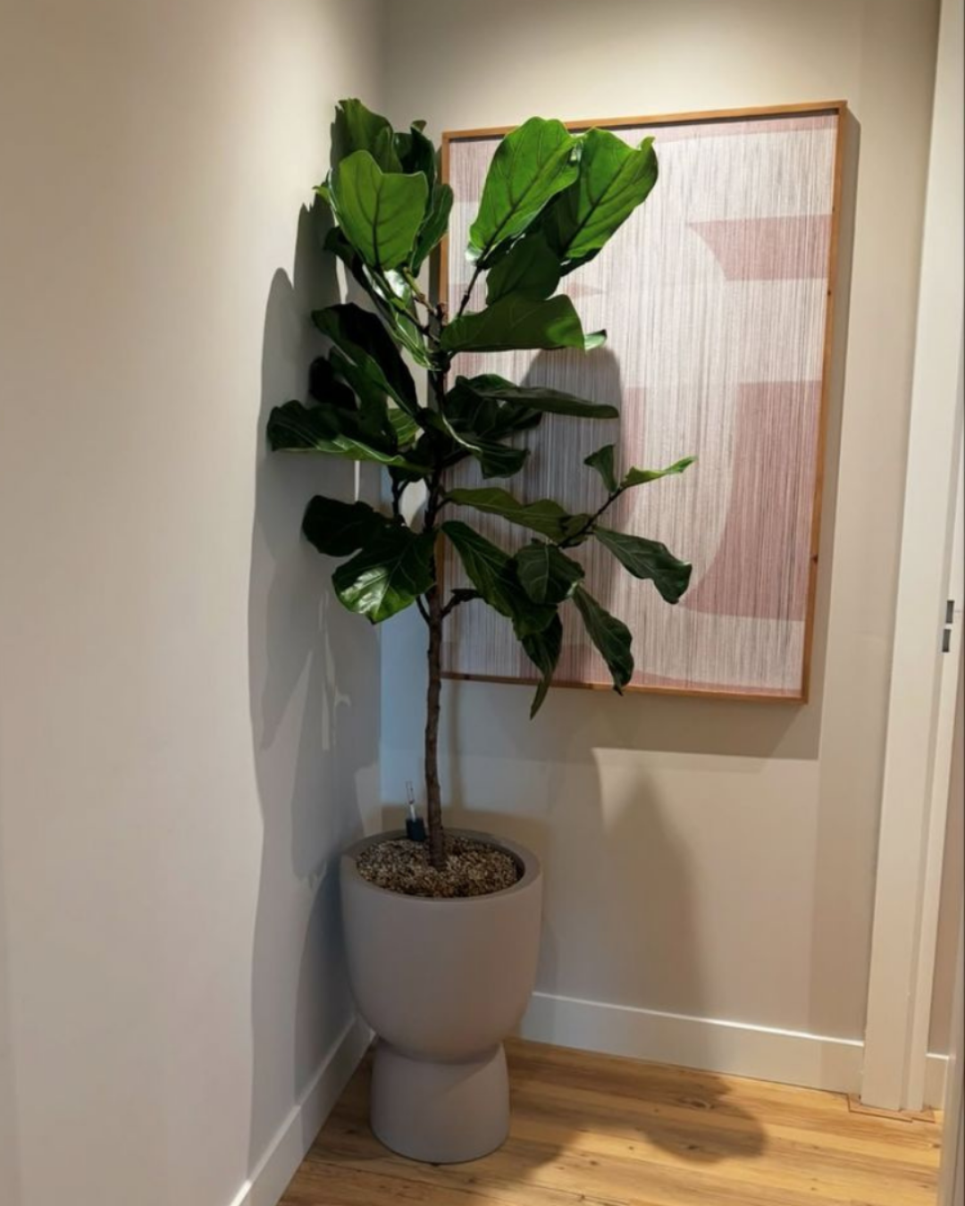 Botanic Blend