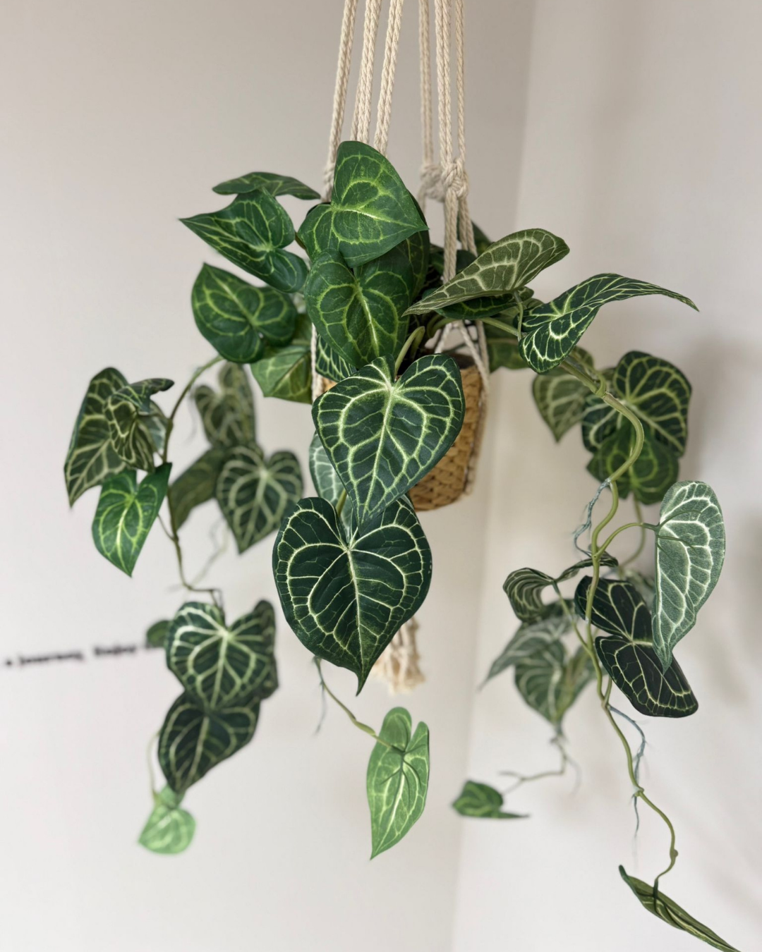 Botanic Blend