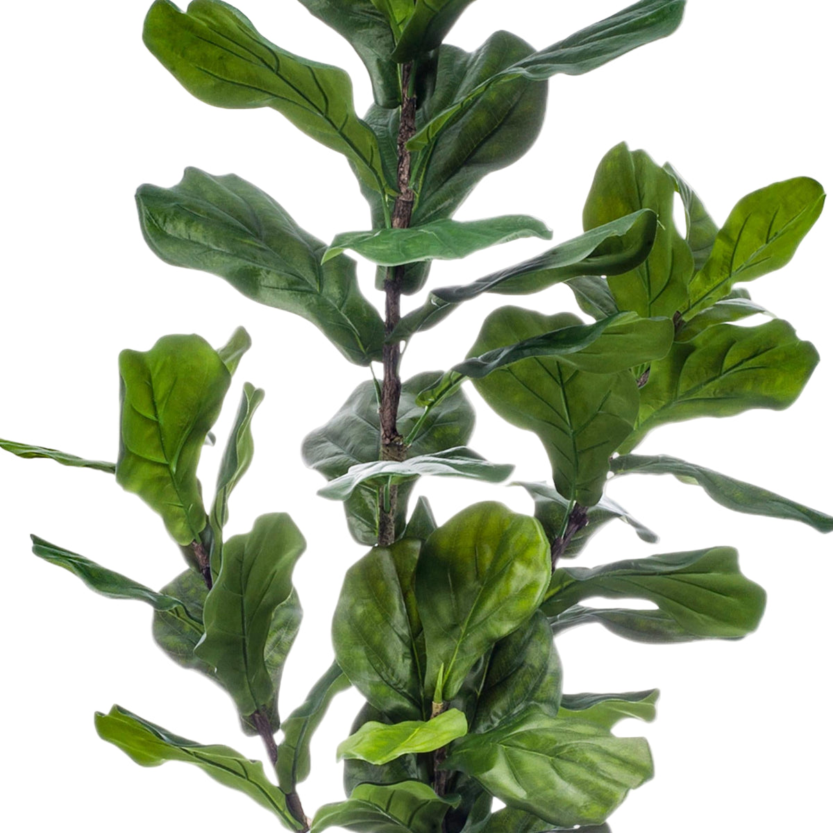 Kunstplant | Ficus Lyrata | ↑150 cm