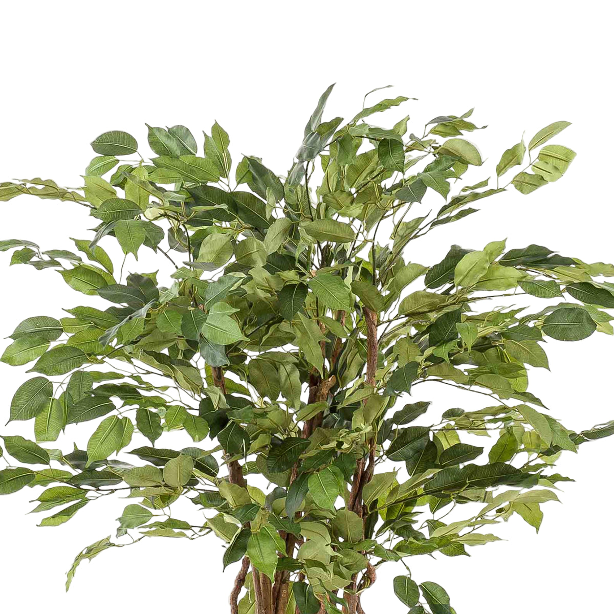 Kunstplant | Ficus Liana | ↑140 cm