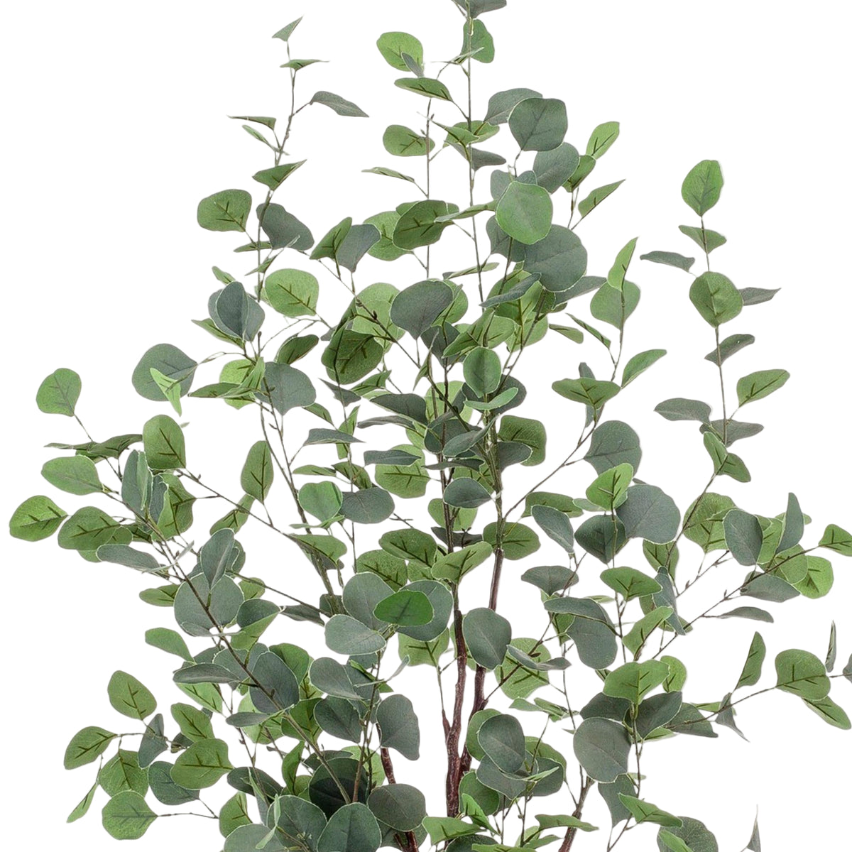 Kunstplant | Eucalyptus | ↑120 cm
