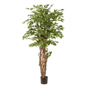 Kunstplant | Ficus Liana | ↑170 cm