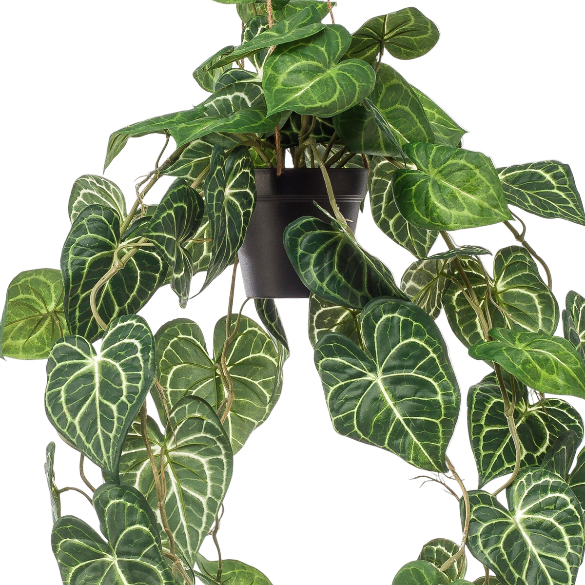 Kunstplant | Anthurium Clarinervium | ↑80 cm