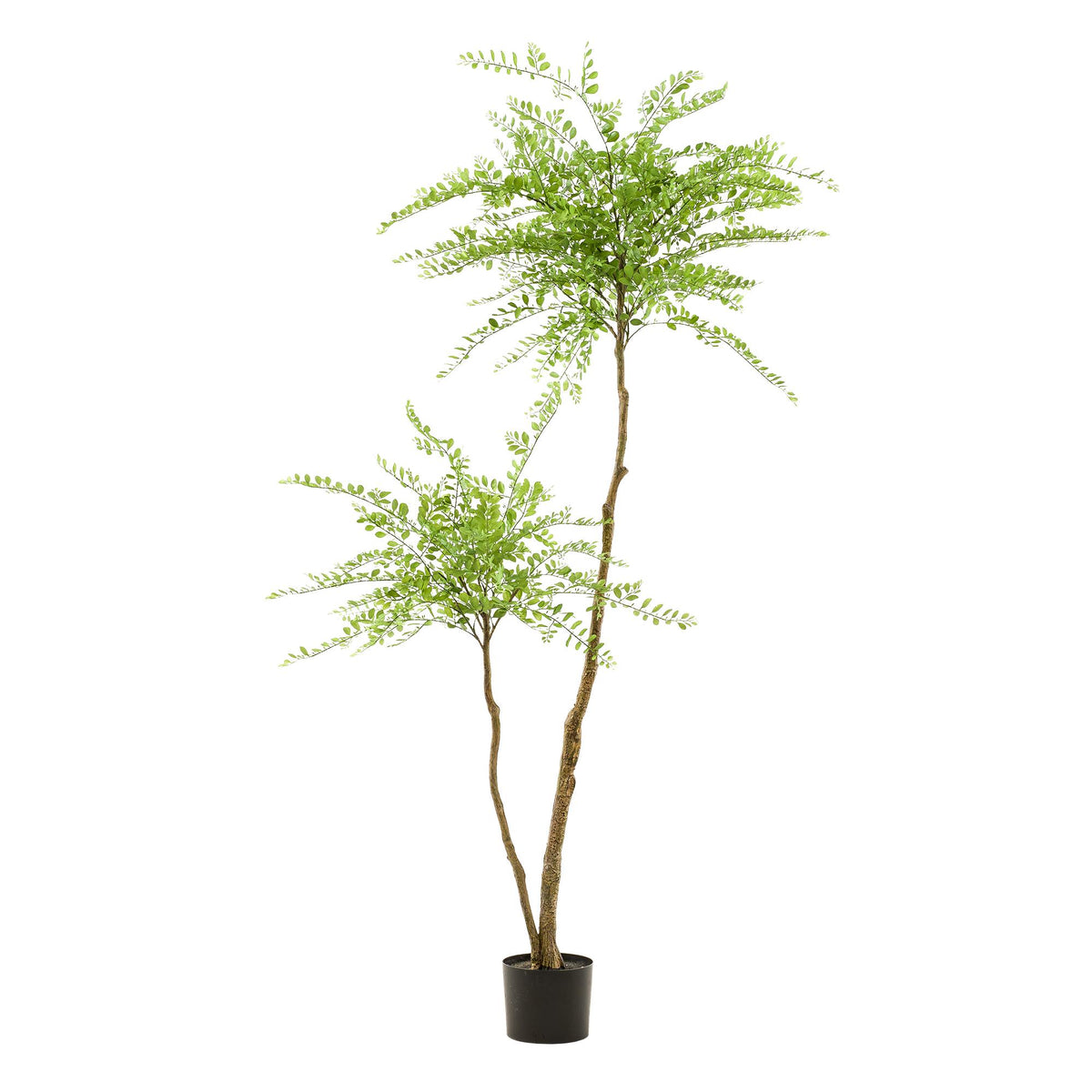 Kunstplant | Sophora Tree | ↑190 cm