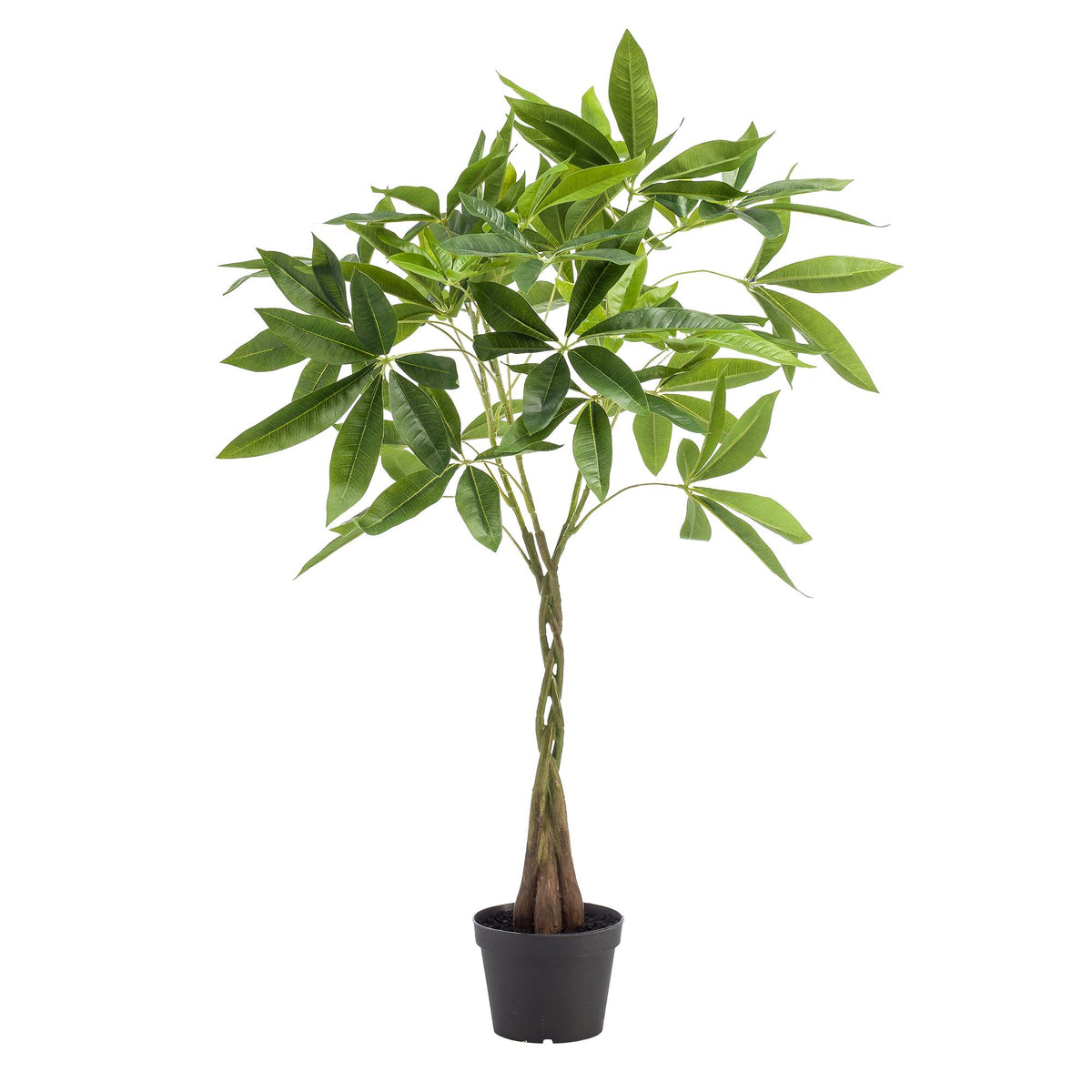 Kunstplant | Pachira Aquatica | ↑90 cm