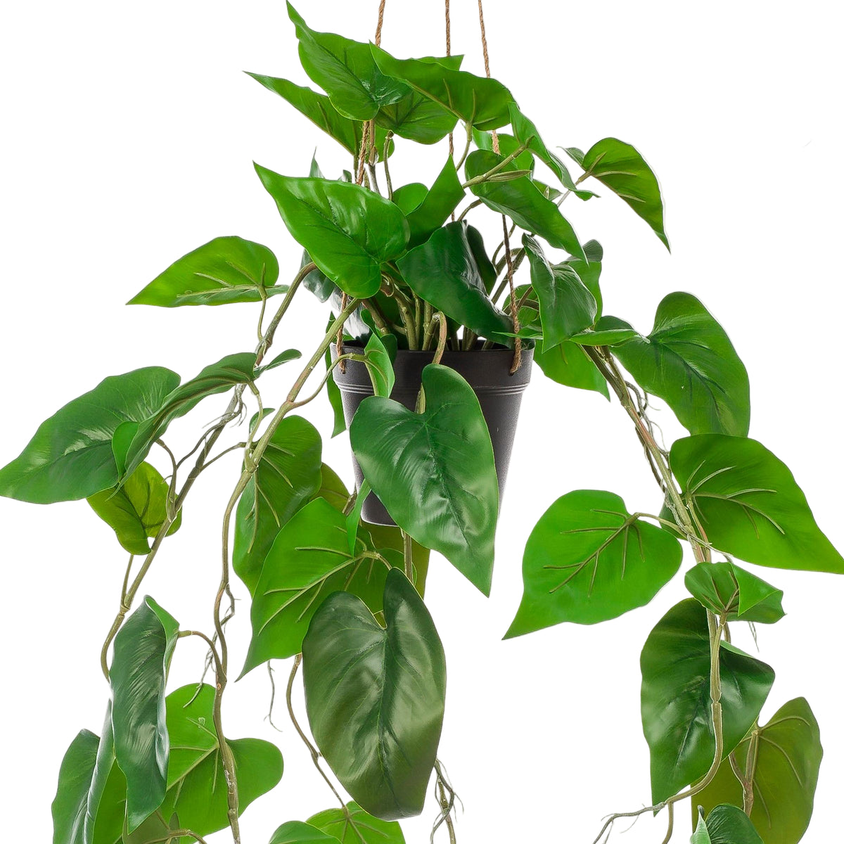 Kunstplant | Philodendron Scandens | ↑80 cm