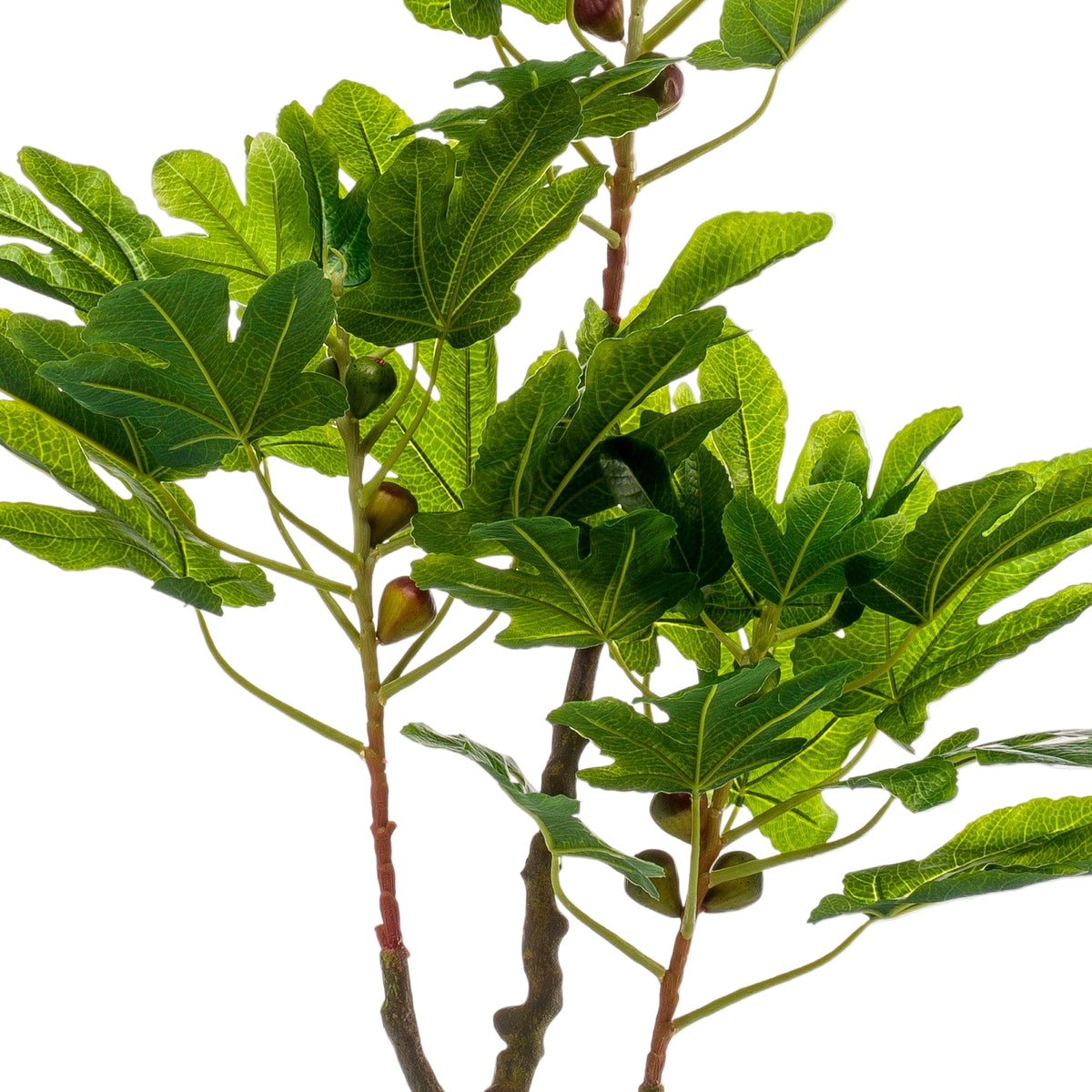 Kunstplant | Ficus Carica | ↑95 cm