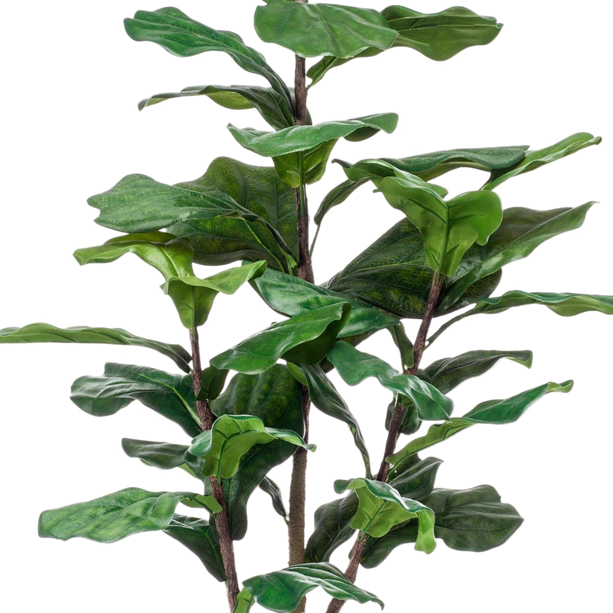 Kunstplant | Ficus Lyrata | ↑120 cm