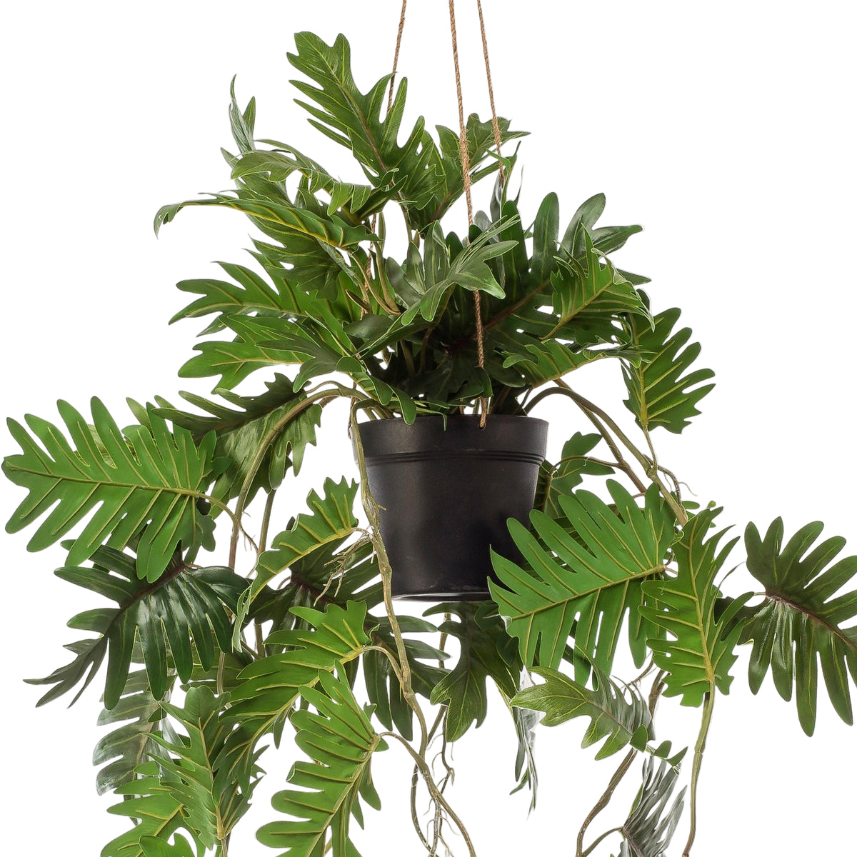 Kunstplant | Philodendron | ↑80 cm