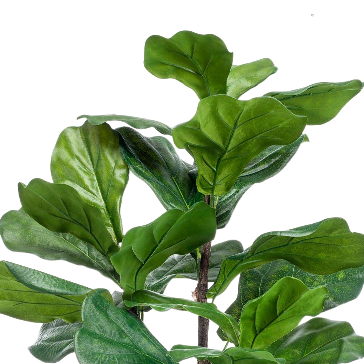 Kunstplant | Ficus Lyrata | ↑90 cm