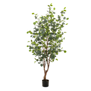 Kunstplant | Eucalyptus | ↑140 cm