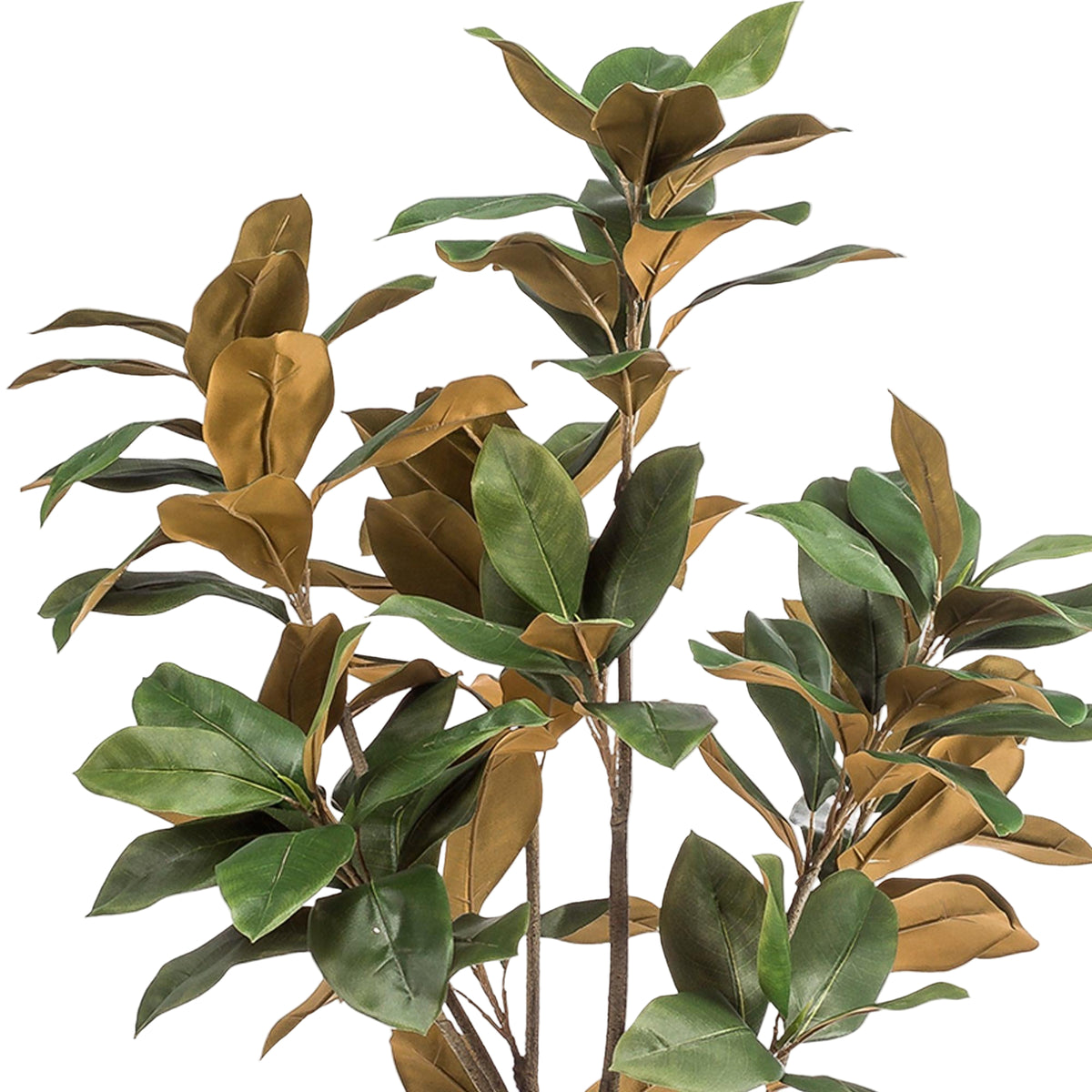 Kunstplant | Magnolia Grandiflora | ↑150 cm