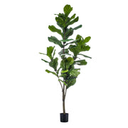 Kunstplant | Ficus Lyrata | ↑150 cm