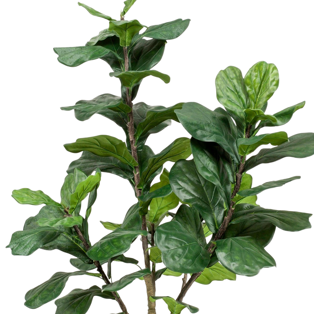 Kunstplant | Ficus Lyrata | ↑180 cm